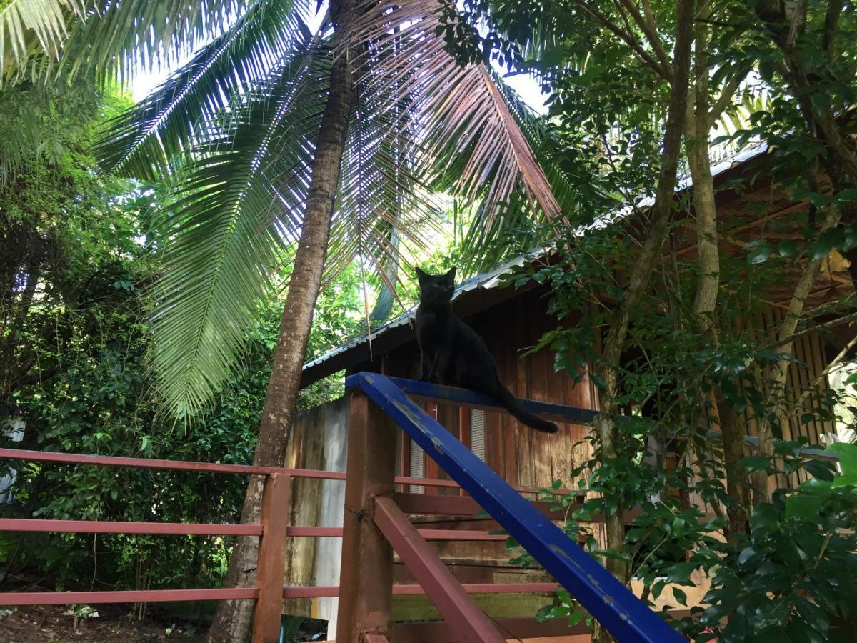 Phayam Garden View Hotell Koh Phayam Exteriör bild