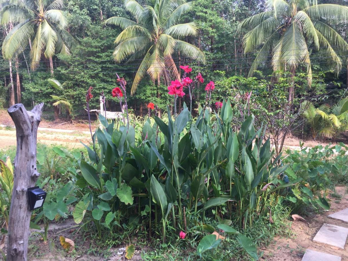 Phayam Garden View Hotell Koh Phayam Exteriör bild