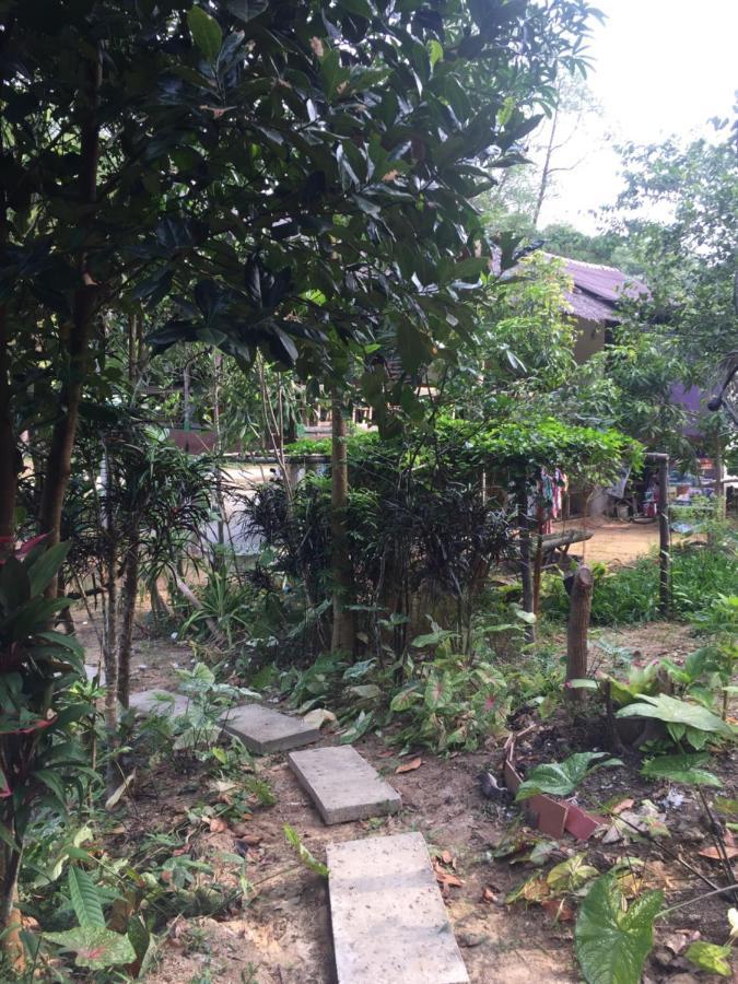 Phayam Garden View Hotell Koh Phayam Exteriör bild