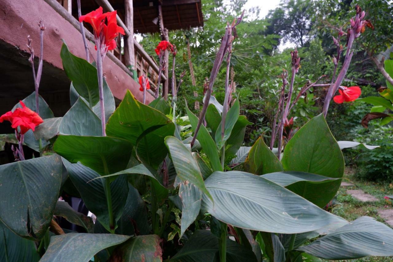 Phayam Garden View Hotell Koh Phayam Exteriör bild